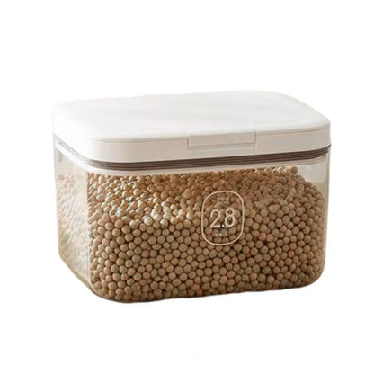 Storage Container